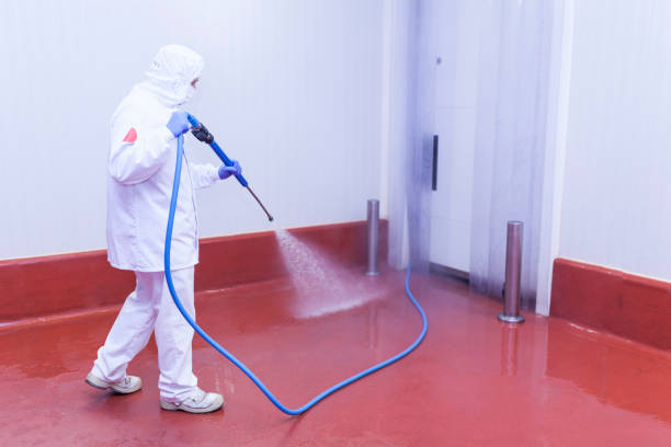 Trusted Georgetown, SC Pressure Washing Experts